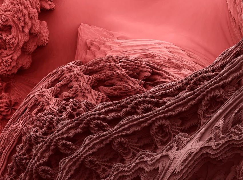 Kuschelschwalben Und Pappsnap Tasja Mit Lieblingsschnitt