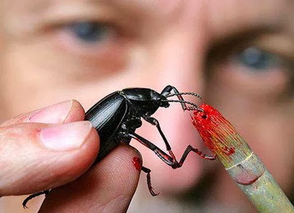 [Art_with_Cockroach-1.jpg]