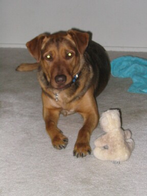 [Snickerswhitebear.JPG]