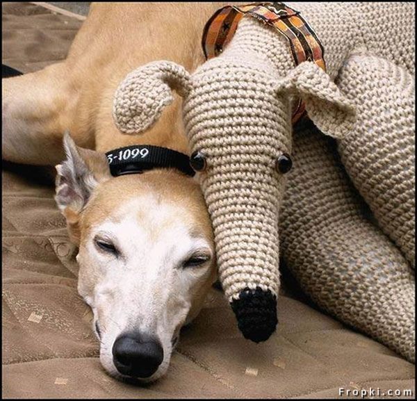 [30EB9BE4AE79498EB0371322FAFDFBE2.jpeg.jpg]