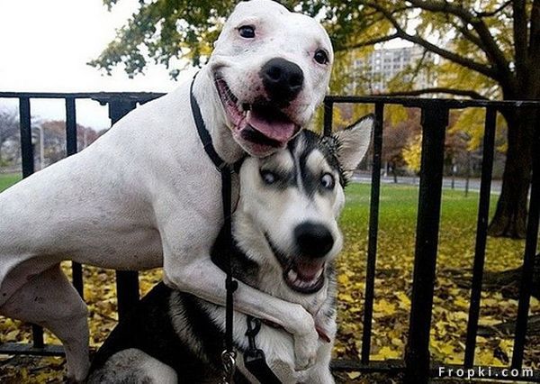 [C7324DFE2DFE49EEB0A5CA285C85ABDB.jpeg.jpg]