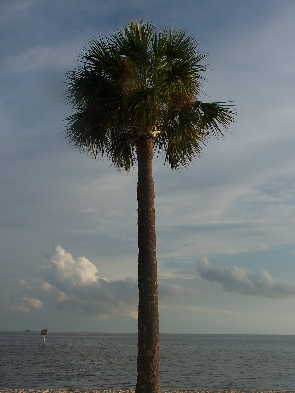 [Pine+Isle+Bayport+022.JPG]