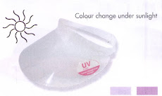 SUN VISORS