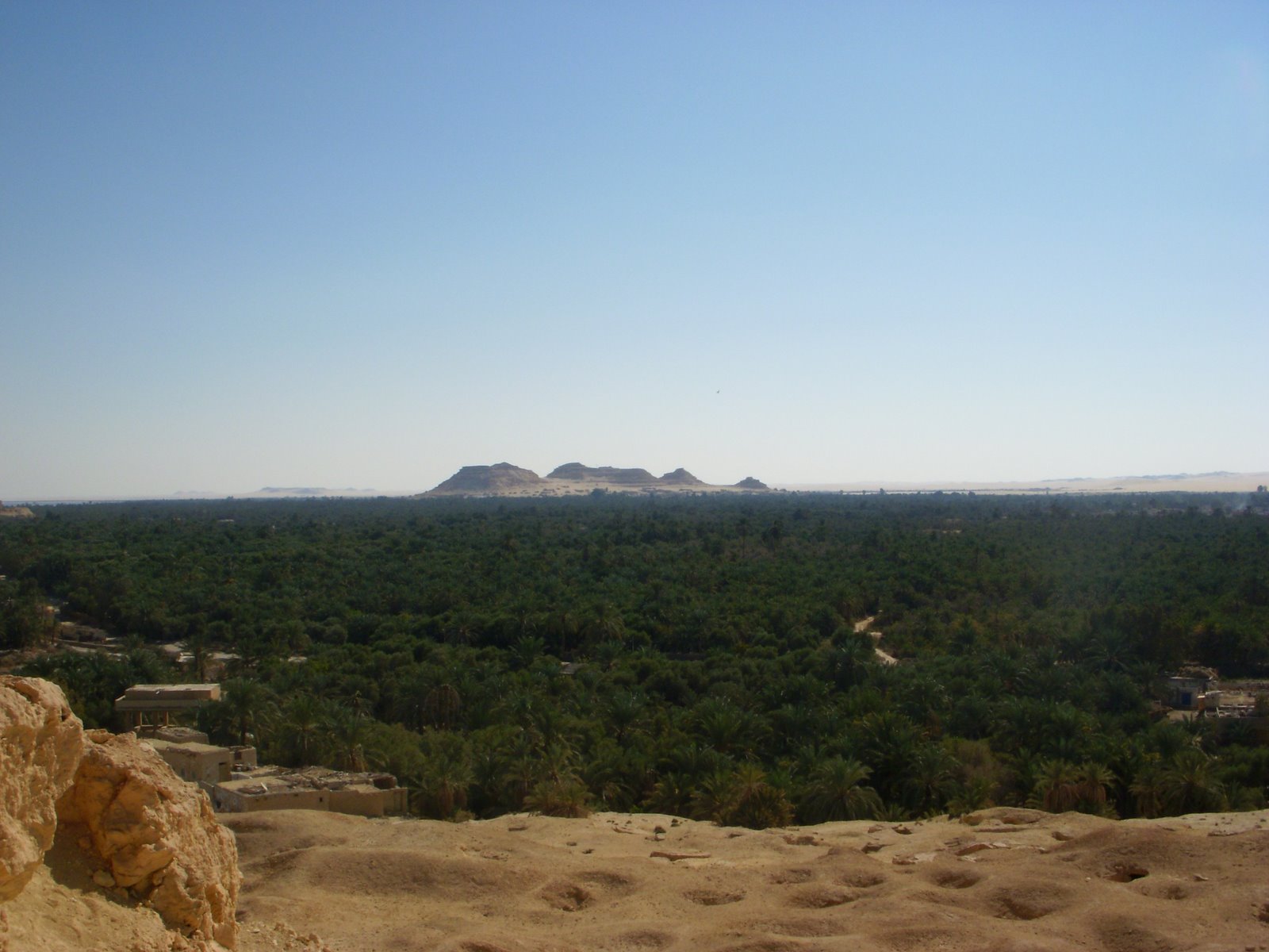 [DSCN1259.JPG]