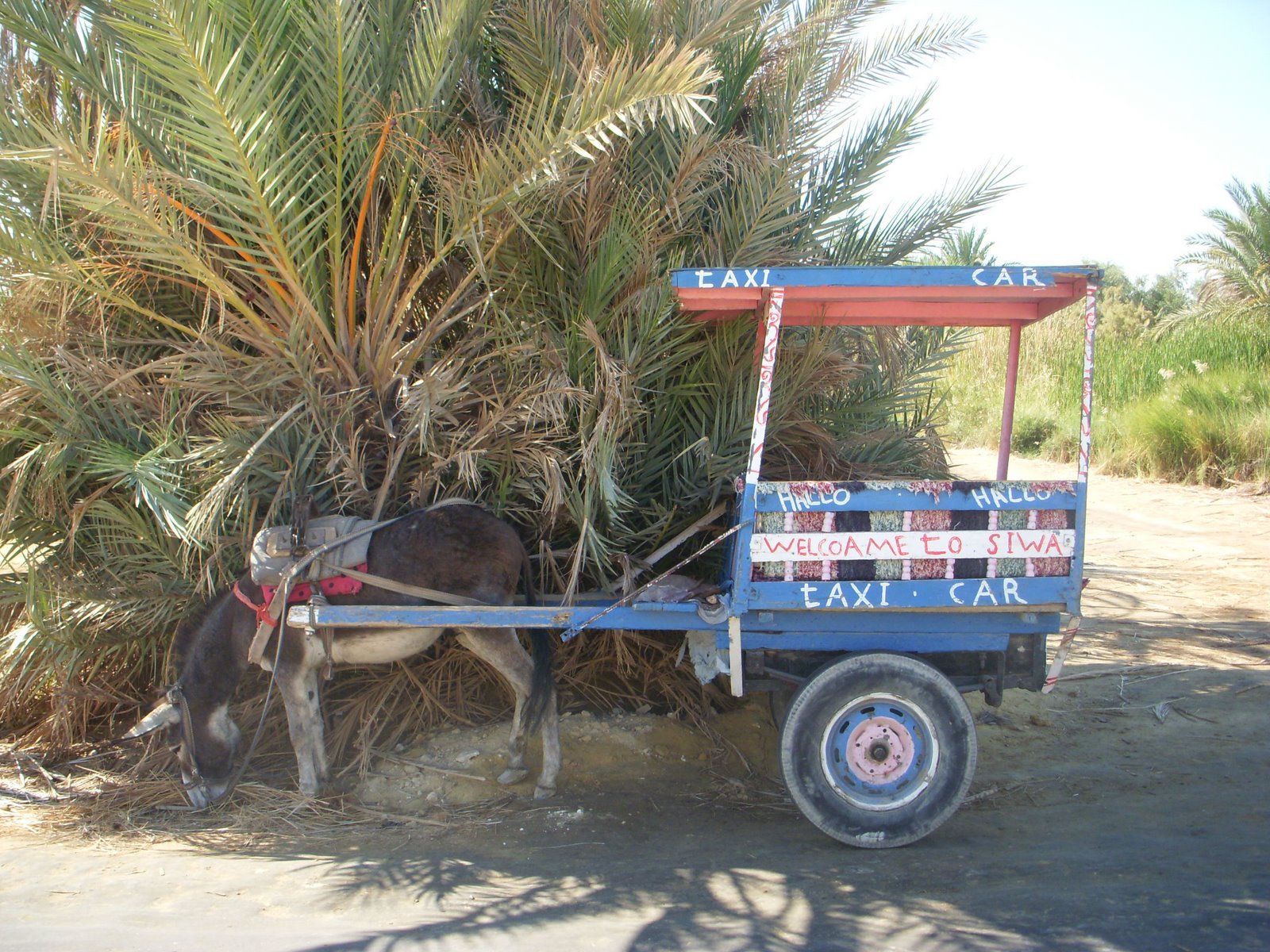 [DSCN1280.JPG]