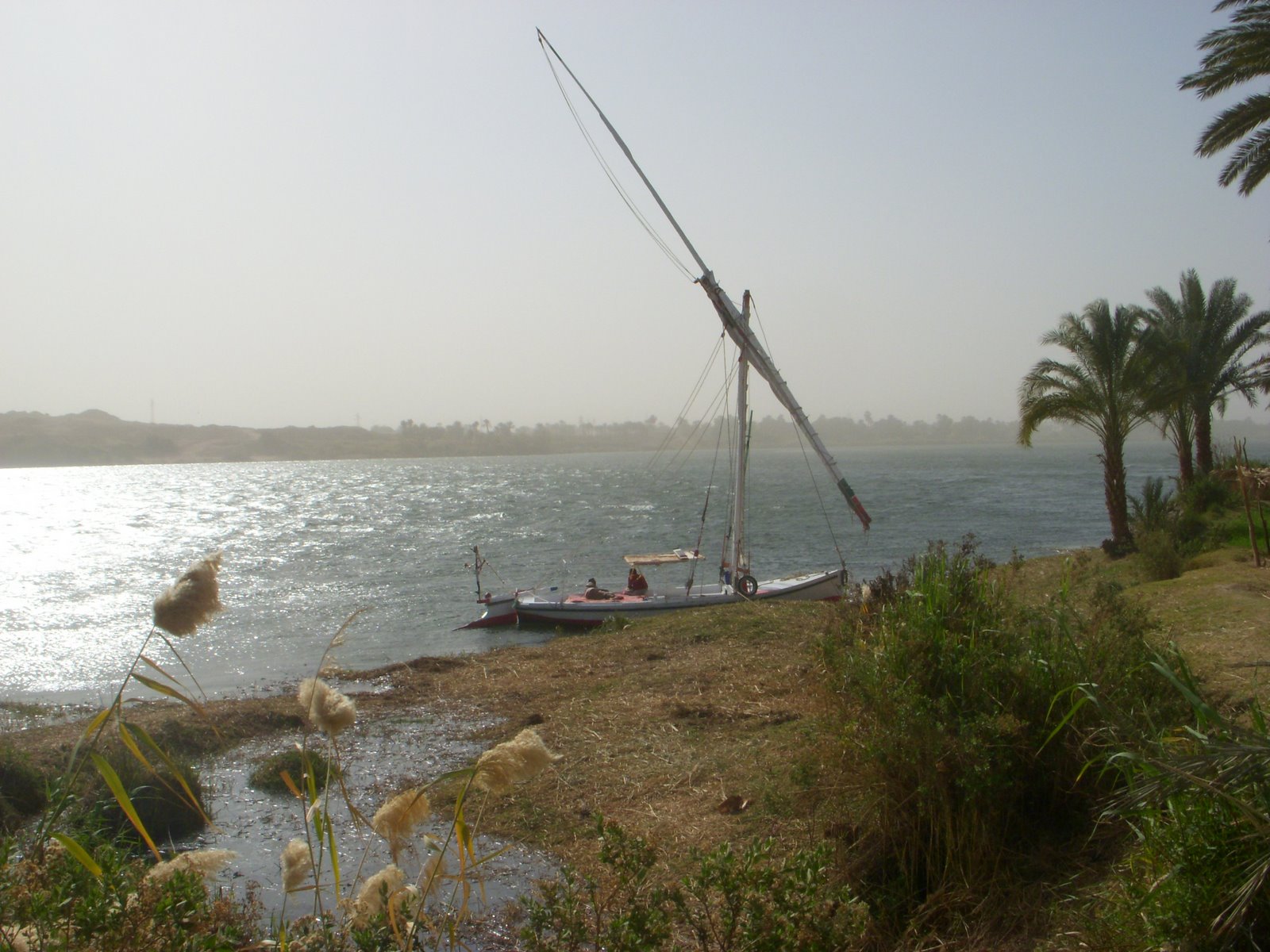 [DSCN2443.JPG]