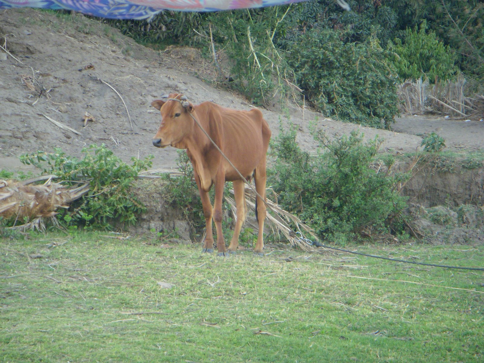[DSCN2551.JPG]