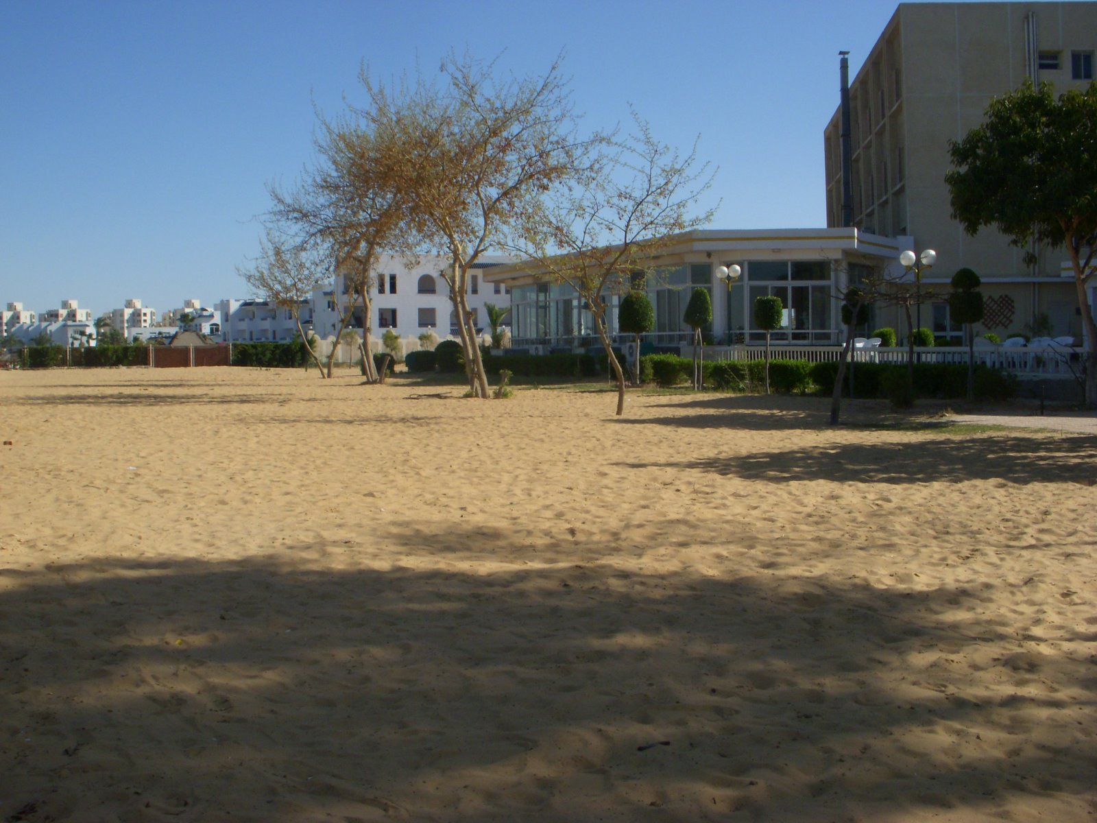 [DSCN2633.JPG]