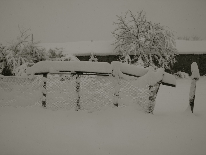 [DSCN9759.JPG]