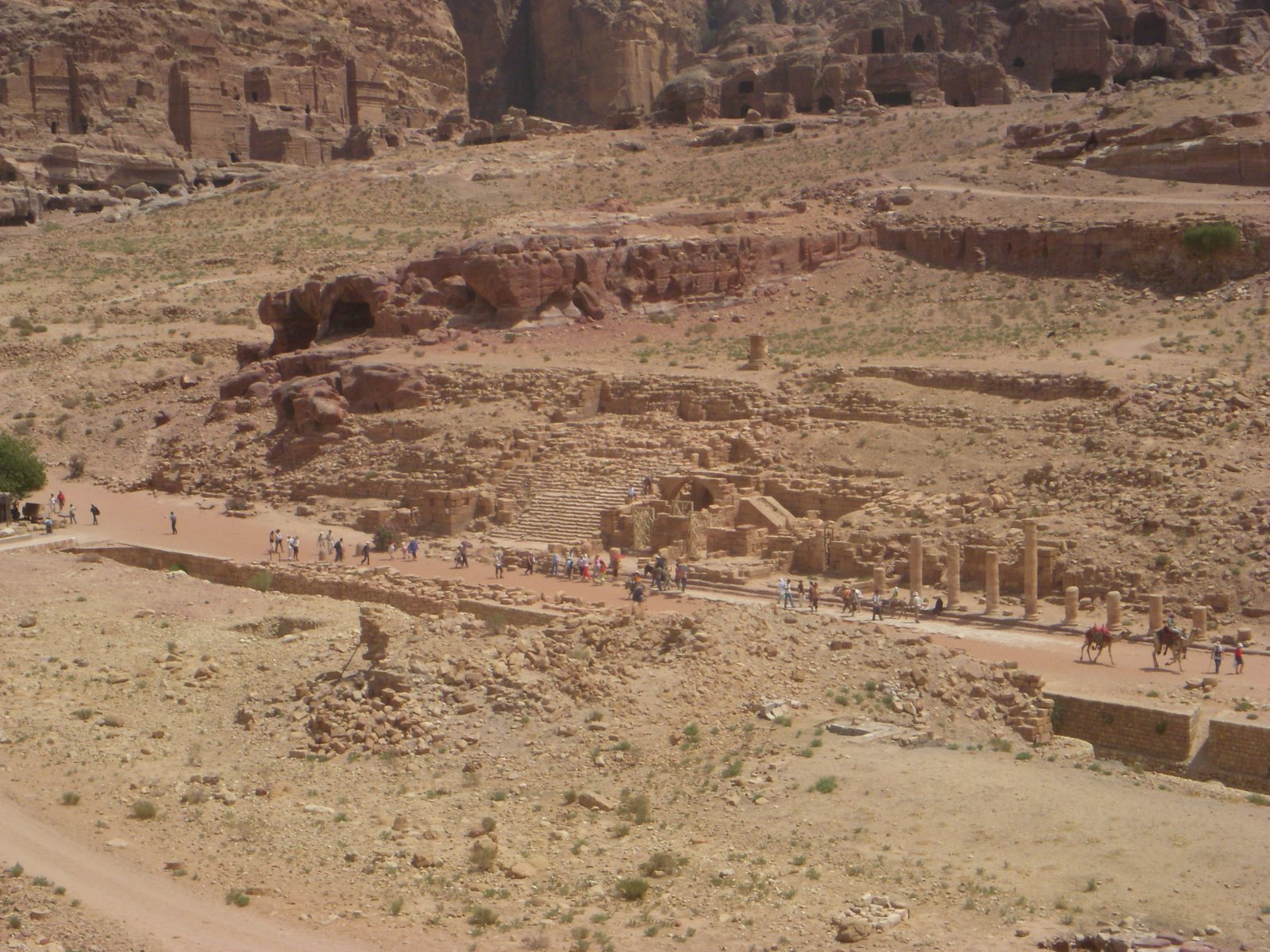 [DSCN2993.JPG]