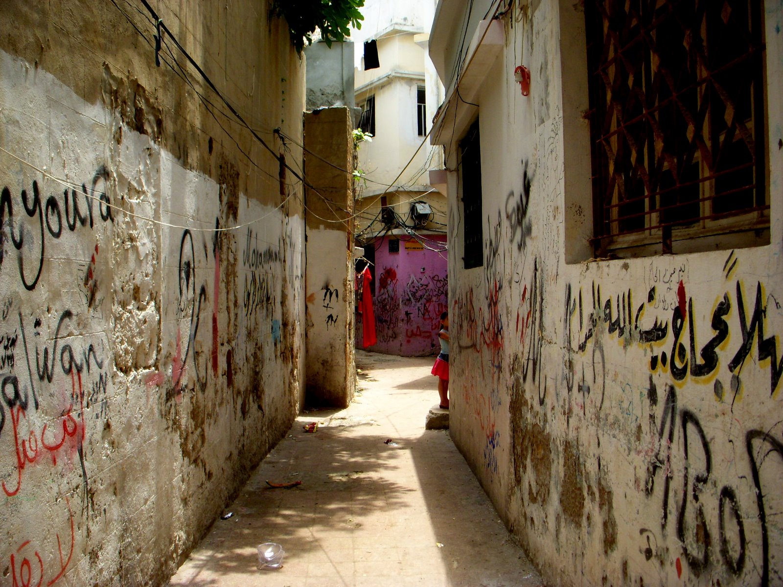 [DSCN3585.JPG]