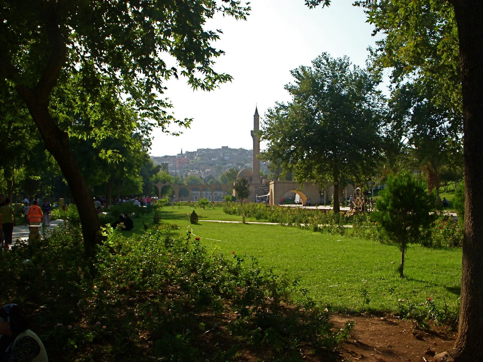 [DSCN4307.JPG]