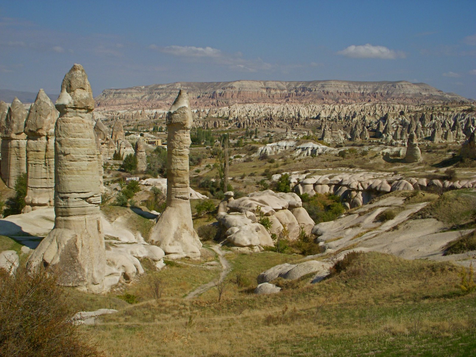 [DSCN5428.JPG]
