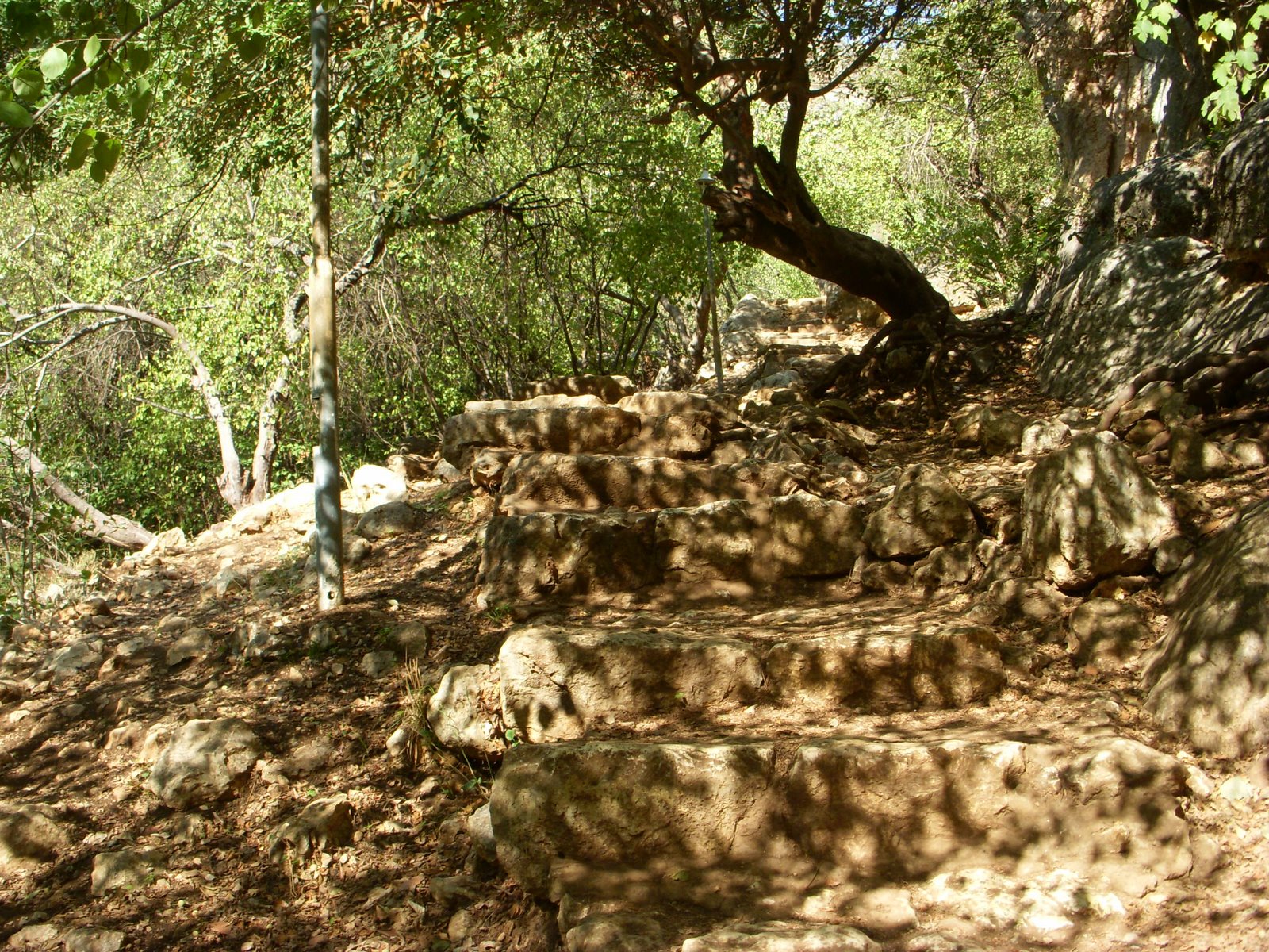 [DSCN5837.JPG]