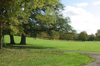 an autumn picture