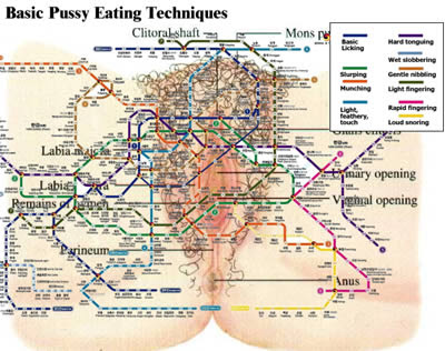 Put them all together and you get a diagram of Basic Pussy Eating Techniques