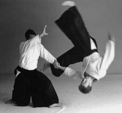 martial art clips videos
