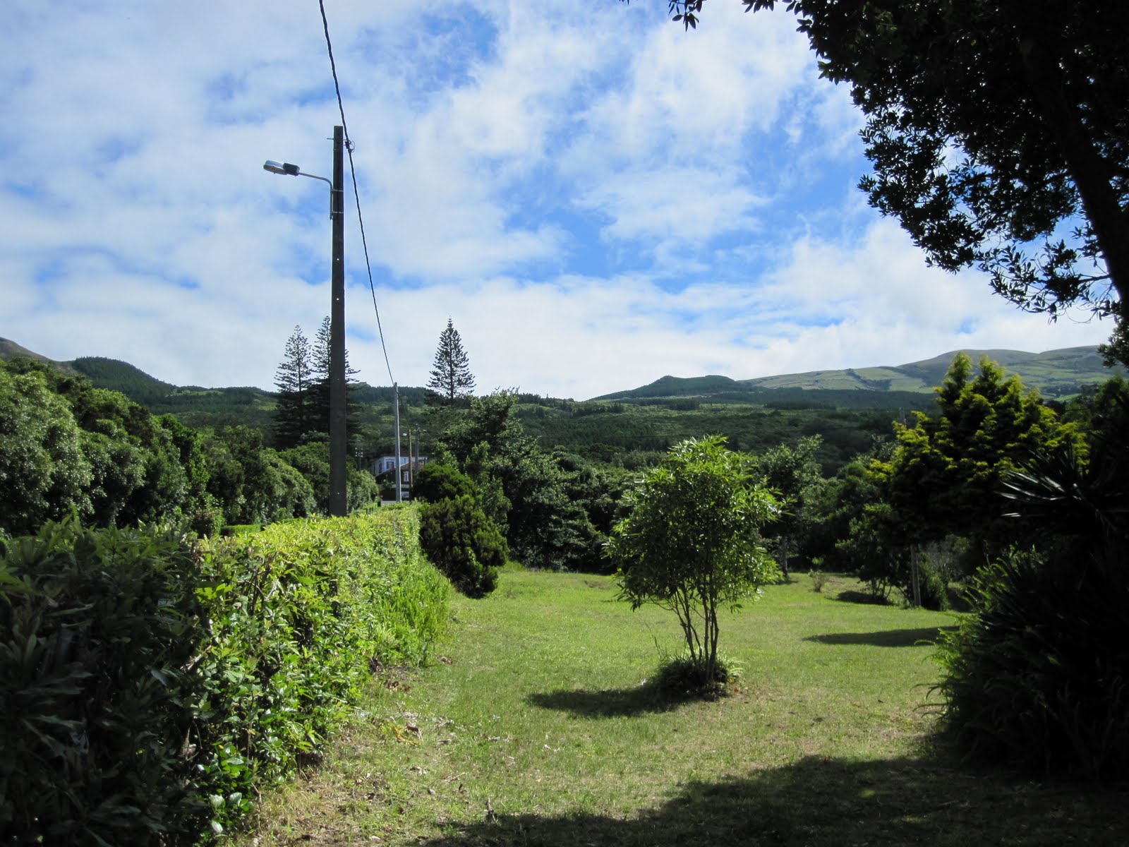 [IMG_0715.JPG]