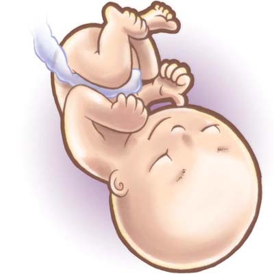 30weeks: growing lungs learn