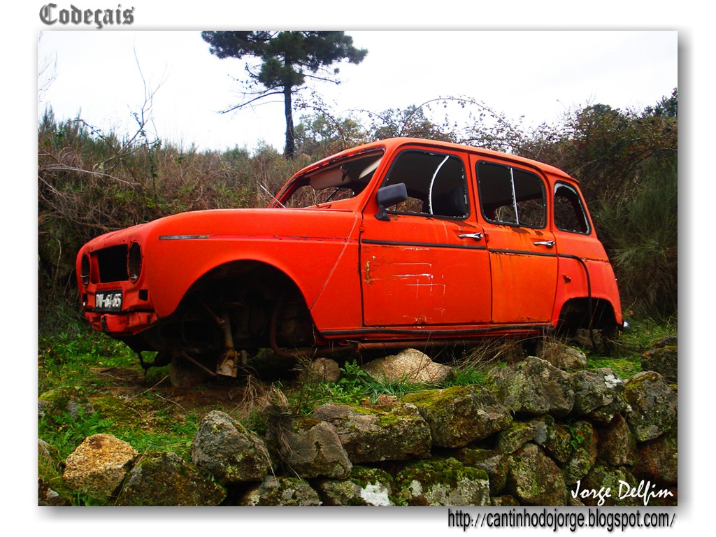 [Renault+4L+(1).jpg]