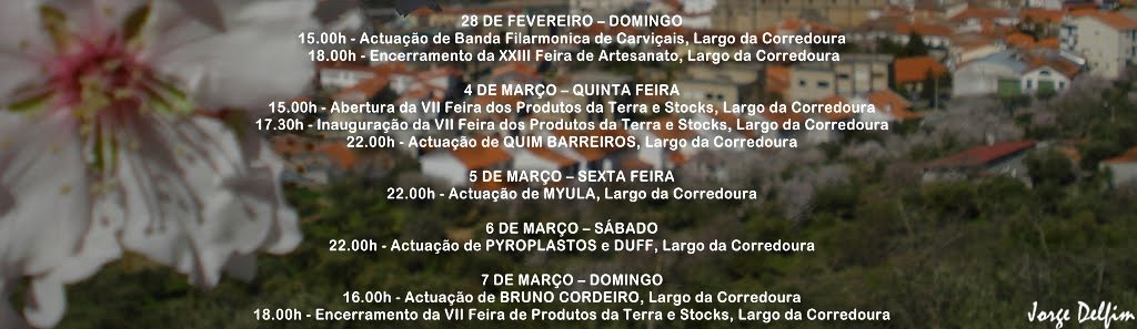 [amendoeiras+em+flor+2.jpg]
