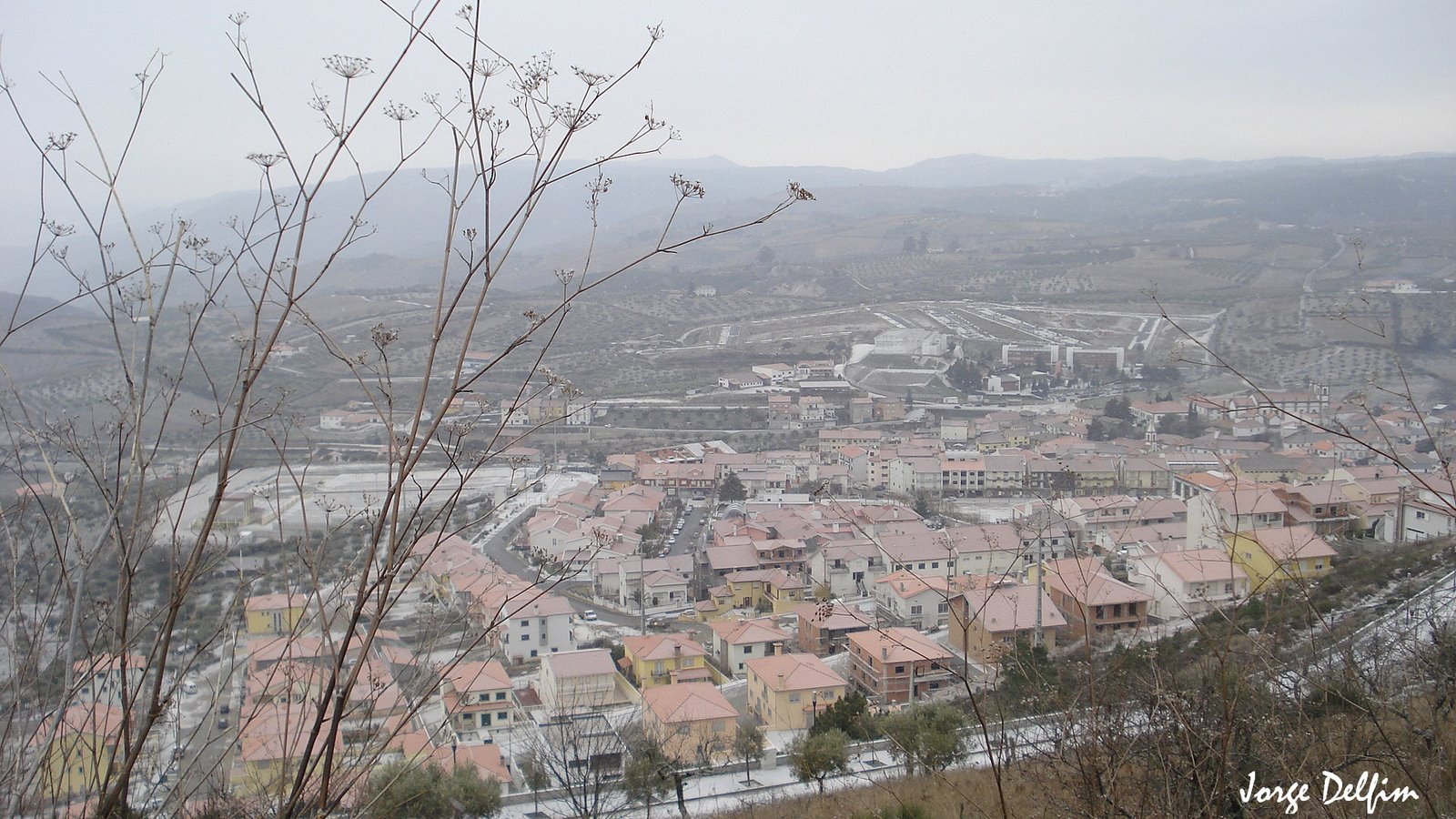 [DSC01412.jpg]