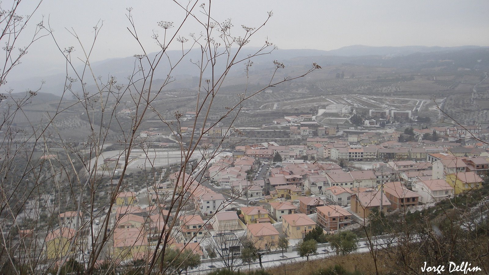 [DSC01411.jpg]