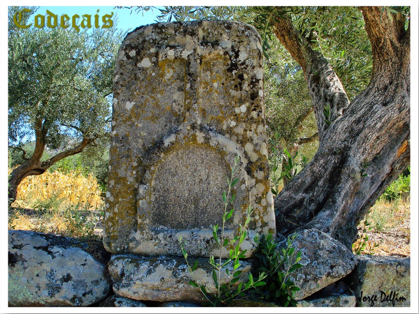 [Codeçais+-+Alminhas+antigas.jpg]