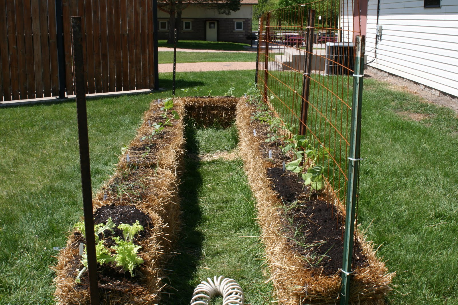 4 the Love of Family How to plant a straw bale garden
