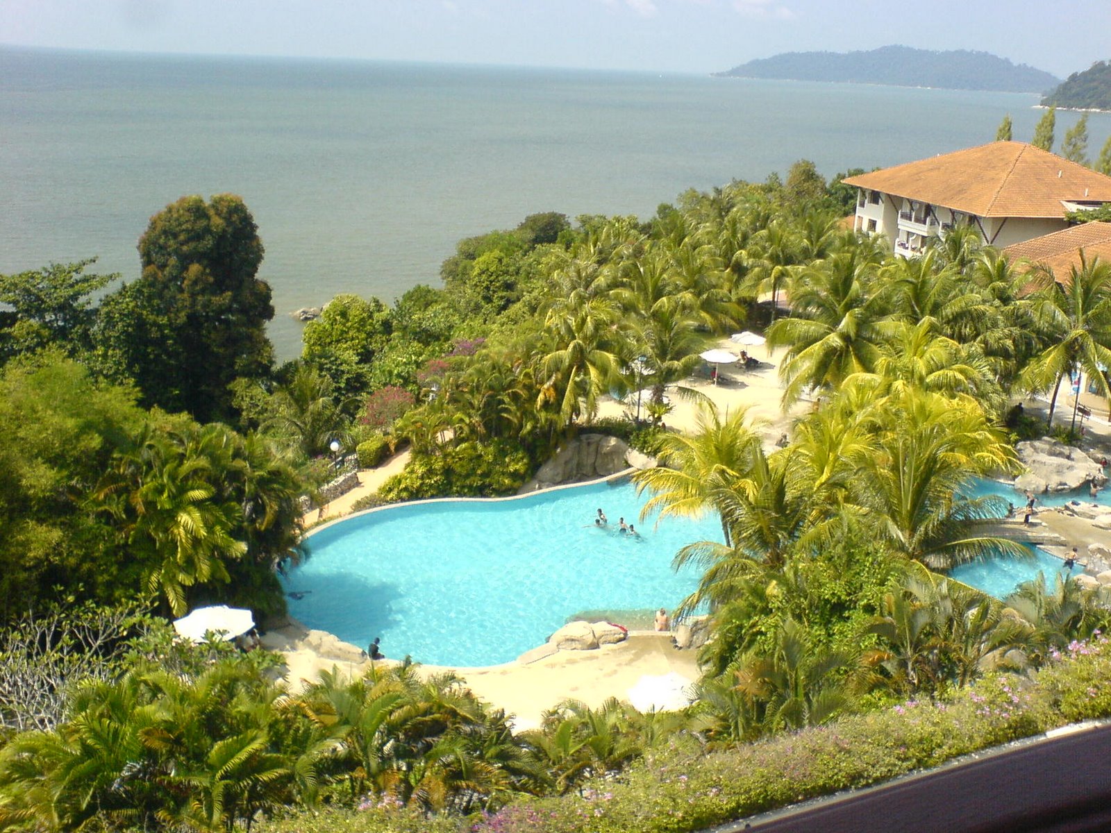 [DSC01656.JPG]