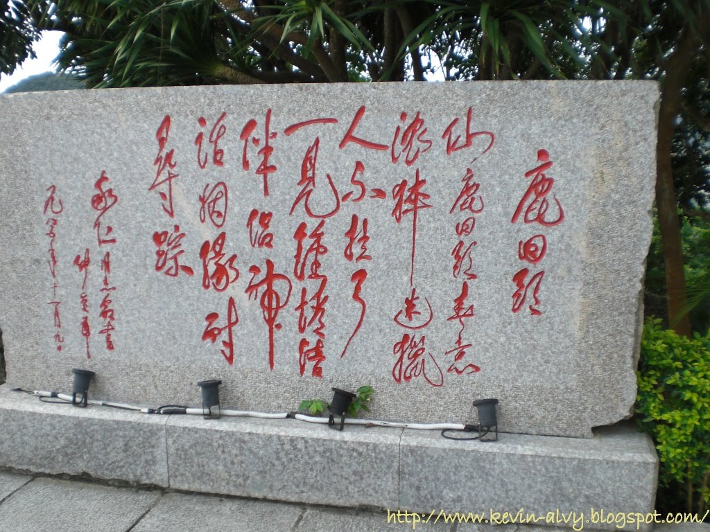 [CIMG0115.JPG]