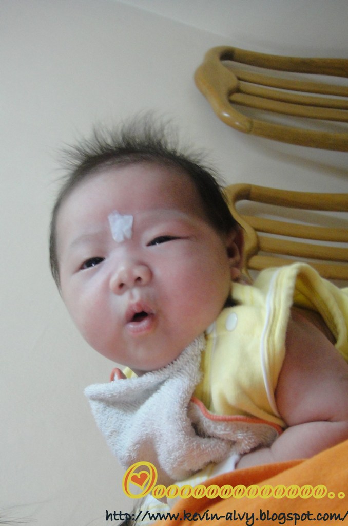 [DSC01482.JPG]