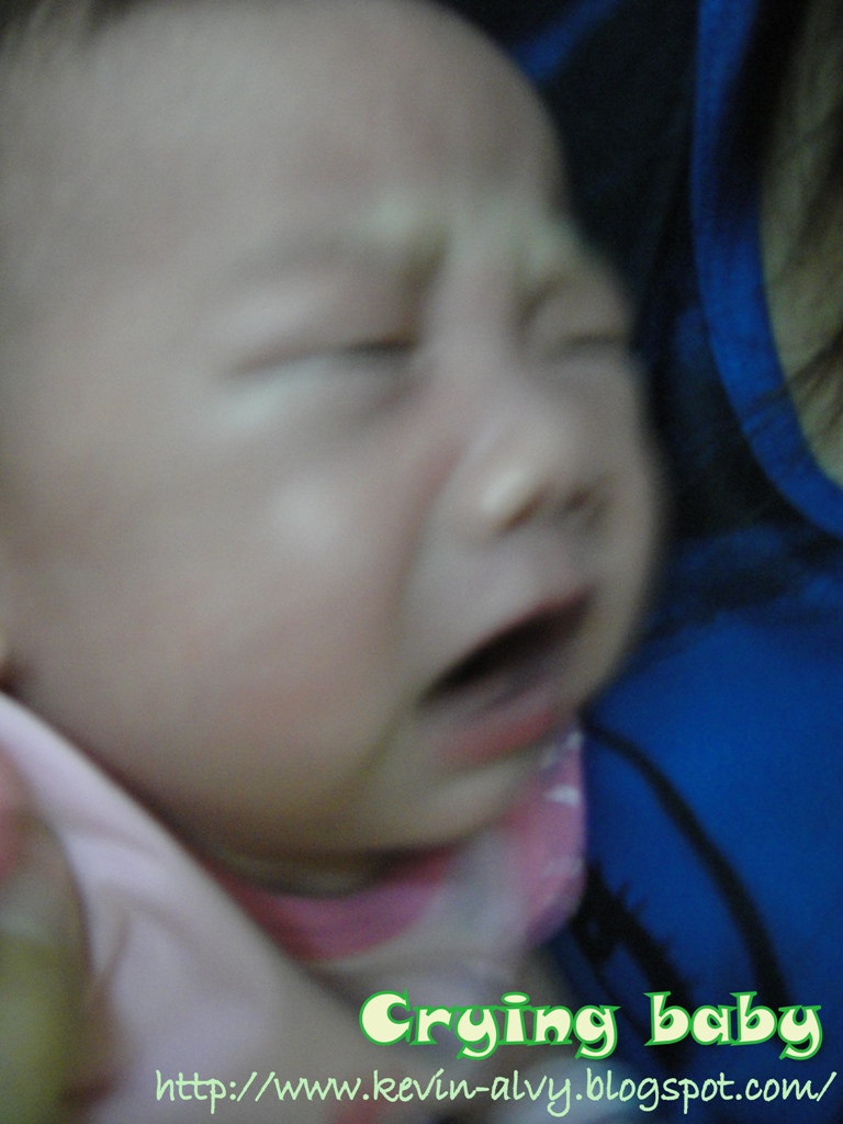 [DSC01471.JPG]