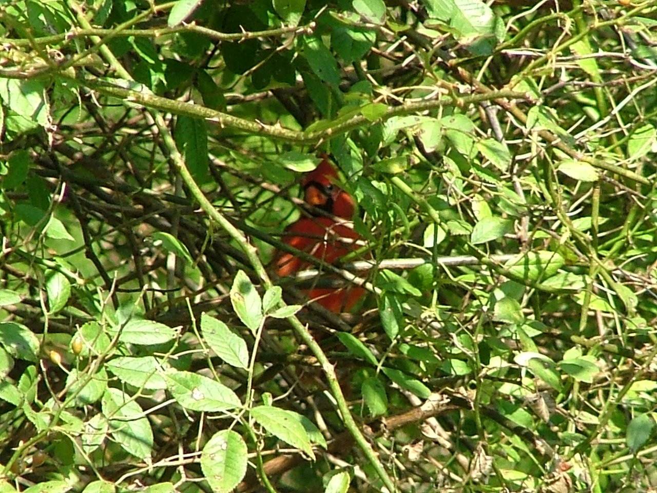 [DSCF2214.JPG]