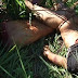 Identifican cadáveres decapitados en San Cristóbal