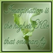 The imagination award