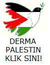 DERMA PALESTIN