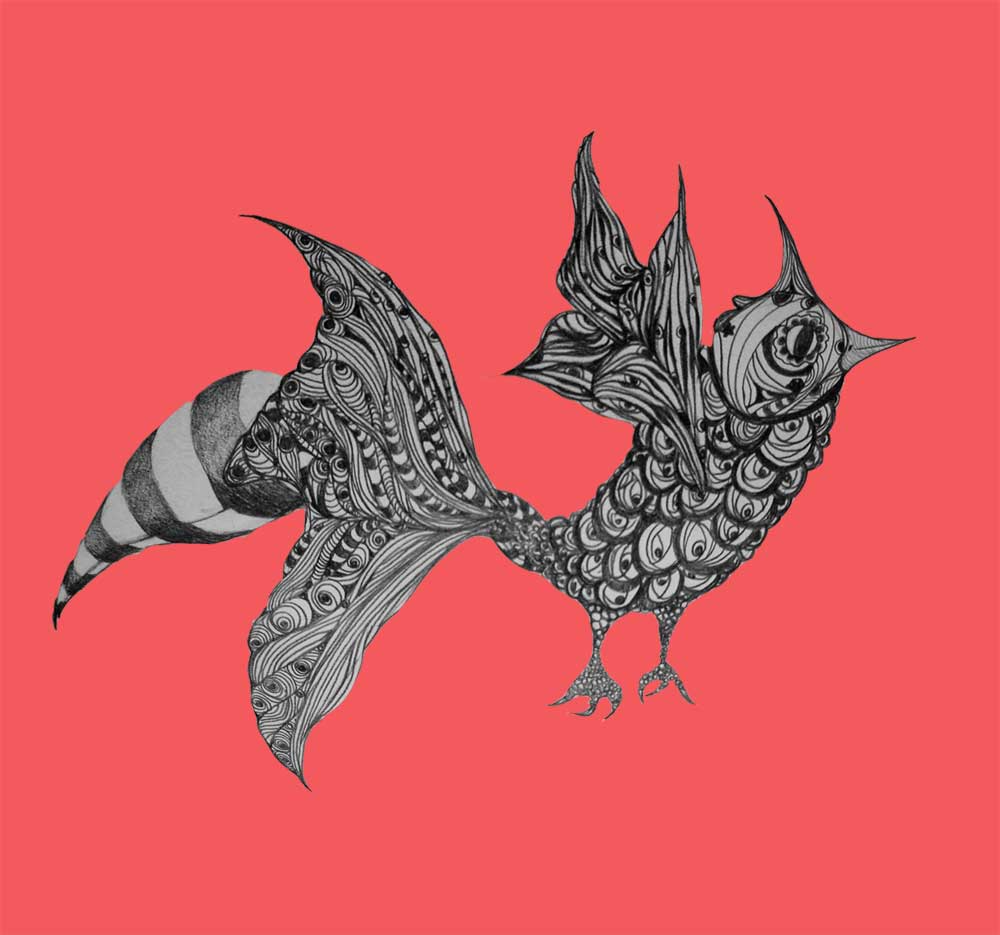 [_Gallo-cocorito-2ROJO.jpg]