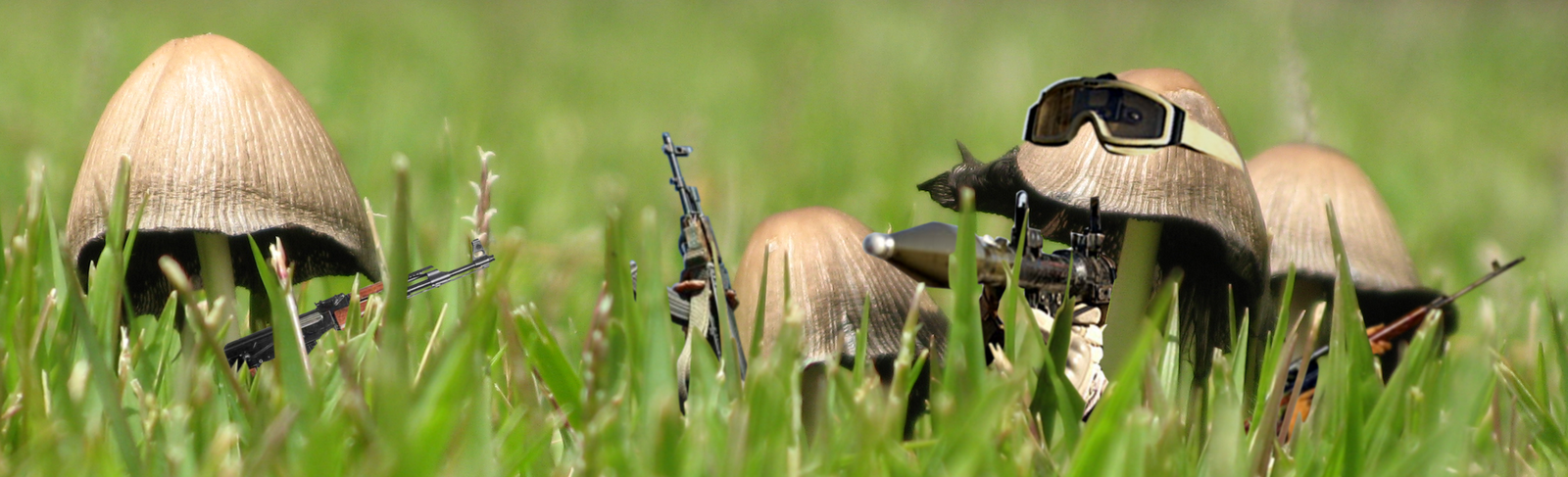 [Shroom+Soldiers.png]