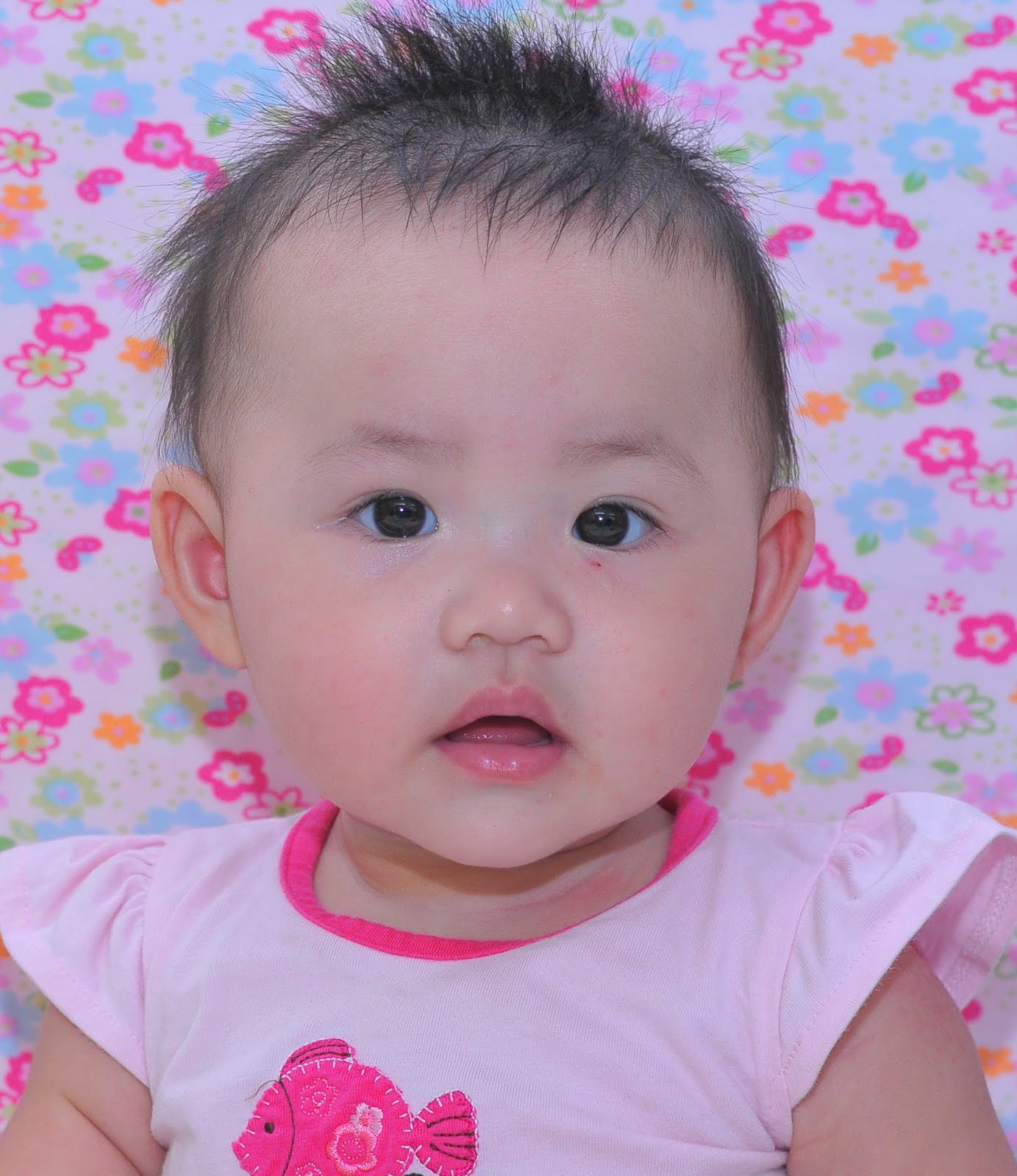 Love Is Forever 8 5kg