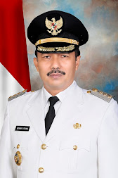 Bupati Pasaman