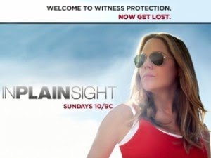  In Plain Sight Season3 Episode4  online free
