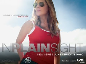 In Plain Sight Season3 Episode5  online free