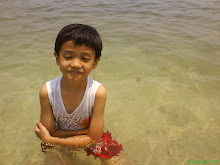 My Photo