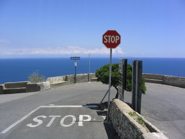 [IMG_3669.JPG]