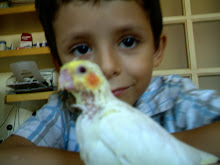 O novo membro da família