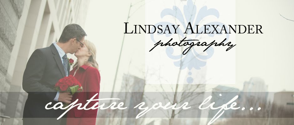 Lindsay Alexander Photography