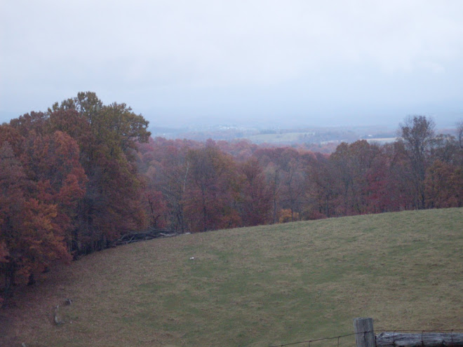 Blue Ridge View