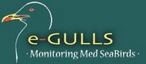 e-gulls