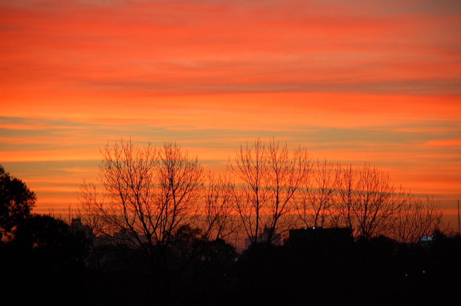 [DSC_0476.JPG]